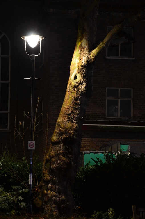 London/Tottenham Court Road/DSC_0010.JPG